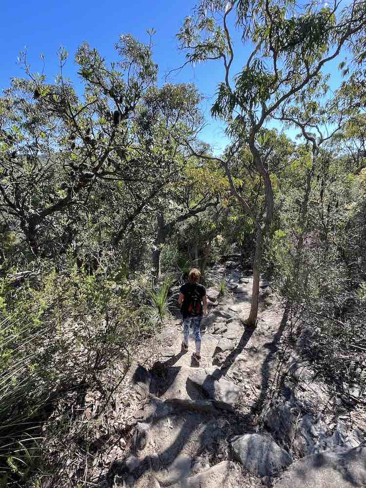 Coastal walking holiday combining bush tracks and river sailing