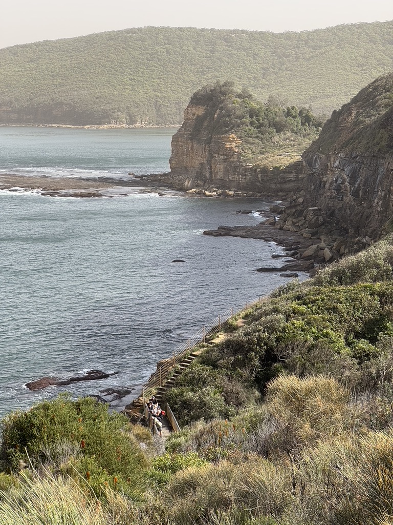 Bouddi Coastal Walk